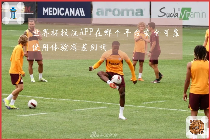 世界杯投注APP在哪个平台安全可靠使用体验有差别吗
