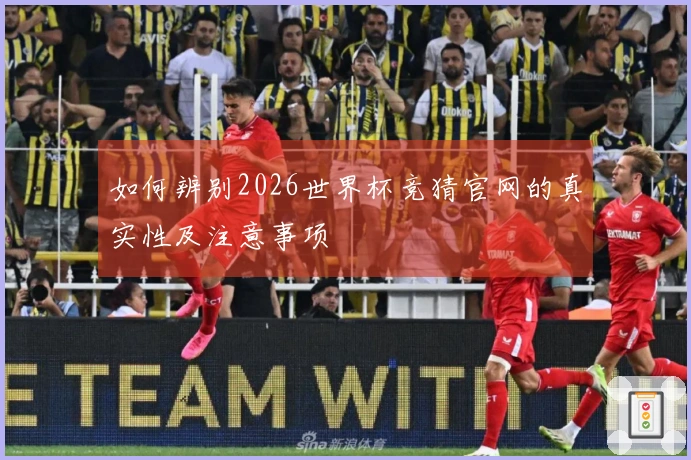 如何辨别2026世界杯竞猜官网的真实性及注意事项