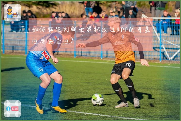 如何临场判断世界杯投注app的可靠性与安全性？