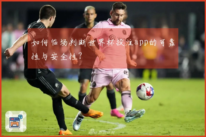 如何临场判断世界杯投注app的可靠性与安全性？