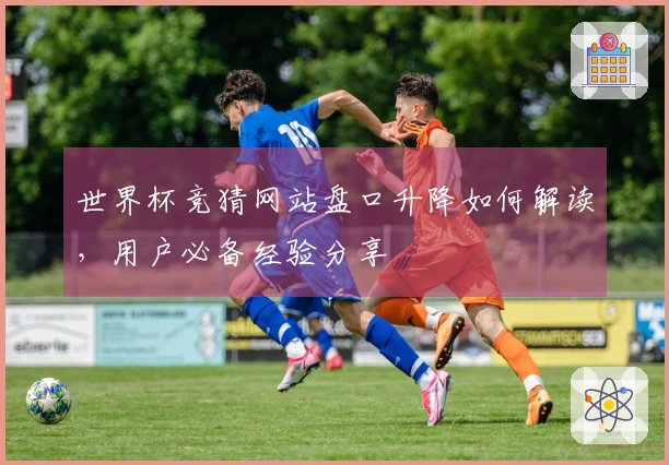 世界杯竞猜网站盘口升降如何解读，用户必备经验分享